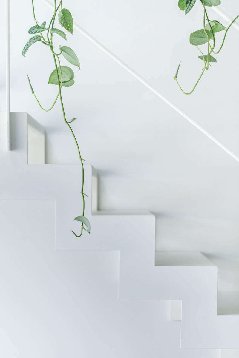 loft b